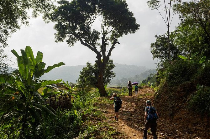 Mai Chau - Pu Luong trekking 3 days 2 nights - Day 2: sunrise optional, then the hardest stretch