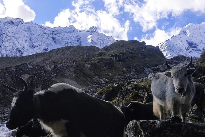 Manaslu Circuit Trek - Key points that make this trek worth a look
