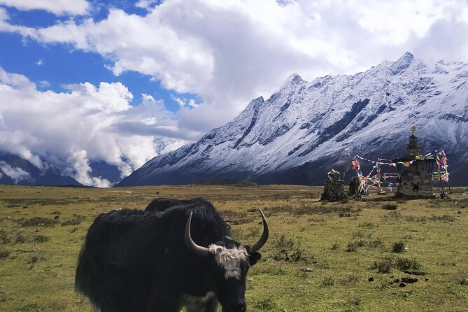 Manaslu Circuit Trek - What’s included on the mountain: meals and accommodation you can plan around