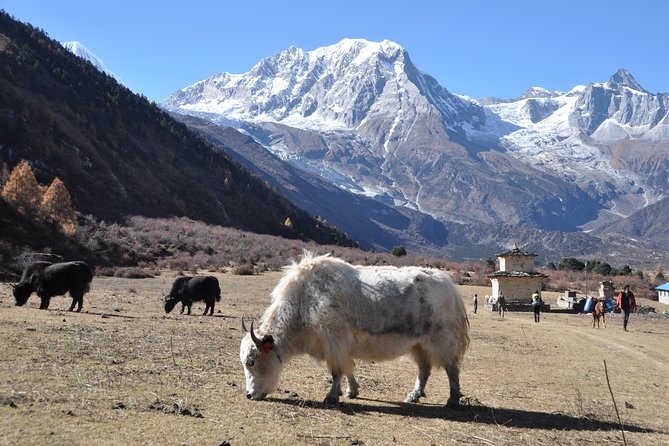 Manaslu Tsum Valley Trekking - Rachen Gompa to Mu Gompa: male vs female worship rules you’ll actually notice