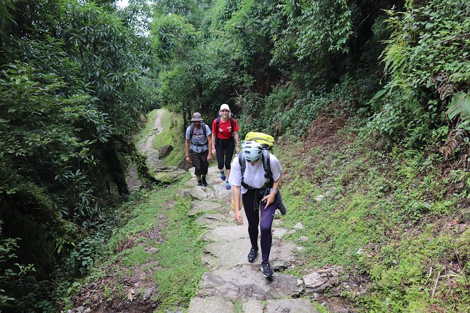 Mardi Himal Base Camp Trek (5 Days) - Key Highlights You’ll Care About