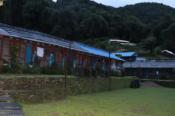 Mardi Himal Base Camp Trek (5 Days) - Forest Camp to Badal Dhanda: Jungle Silence and ACAP Footsteps