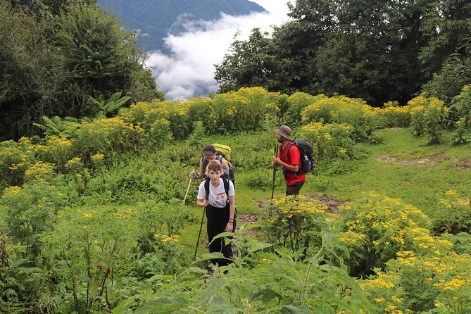 Mardi Himal Base Camp Trek (5 Days) - High Camp Day: When the Views Start Expanding Fast
