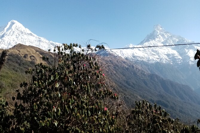 Mardi Himal Newly Discovered Trekking from Pokhara Nepal - Guides Make the Trek Feel Easier