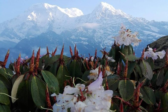 Mardi Himal Trek - 12 Days - Kathmandu Pre-Trek: Thamel, Durbar Square, and the Big Three Religious Stops
