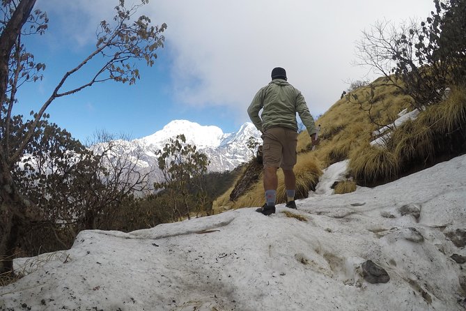 Mardi Himal Trekking - Private transport and a 9:15 AM start that keeps things calm