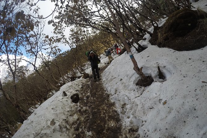 Mardi Himal Trekking - Meals and tea houses: plan for lunch not being included