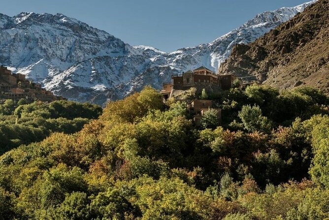 Marrakech: 2-Day Atlas Mountains Trek with Village Stay - Juniper Forest Down to Tizi Oussem: Your Berber Night