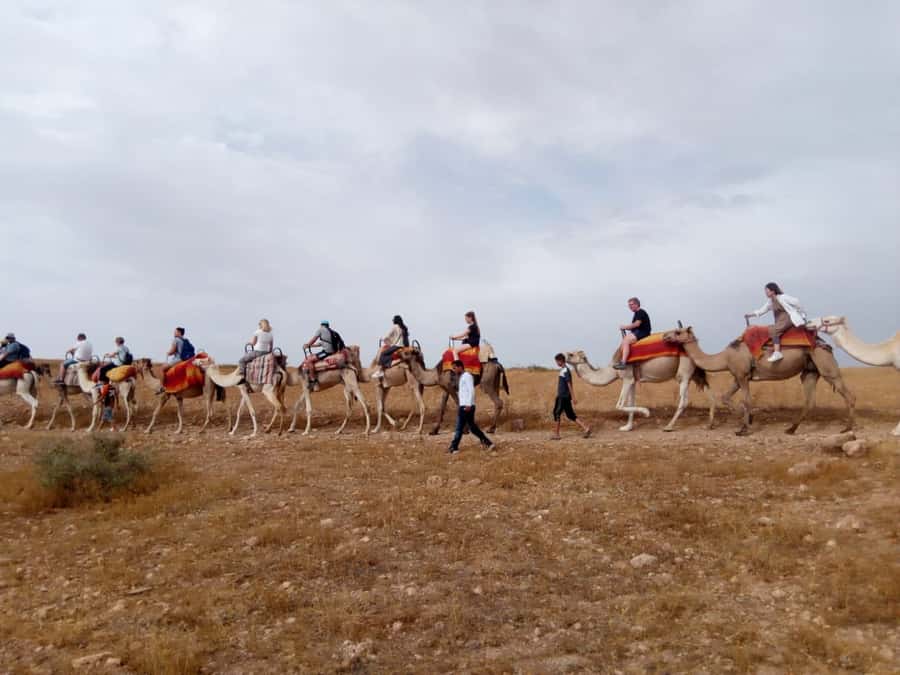 Marrakech: 2-Day Atlas Villages Trekking Tour - Day 2: Agoundiss/Agoundis Valley gorge hike and the route back