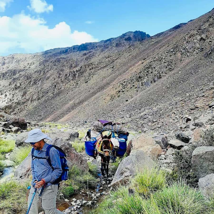 Marrakech: 3-Day Atlas Mountains Berber Villages Trek - Price and Value: Is $159 a Good Deal for the High Atlas?