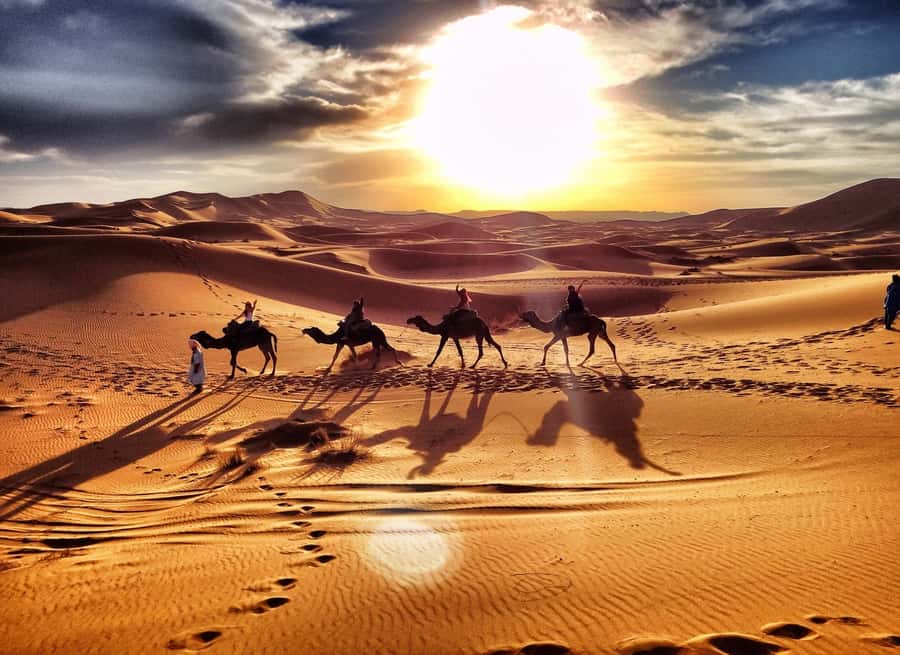 Marrakech: 3-Day Desert Tour to Merzouga Dunes & Camel Trek - Price and value at about $353 per person
