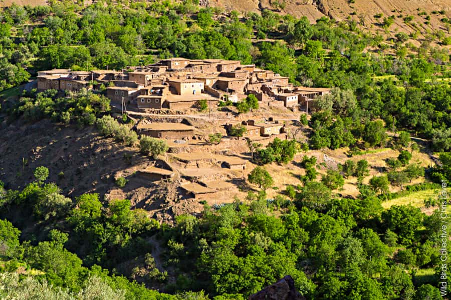 Marrakech: 3-Day High Atlas Mountains and Three Valleys Trek - High Atlas Three-Valley Trek: why this works from Marrakech