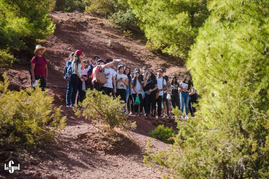 Marrakech: 3-Day High Atlas Mountains and Three Valleys Trek - The pace, the mules, and the food (where the real value lives)