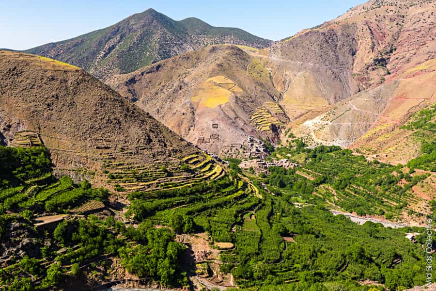 Marrakech: 3-Day High Atlas Mountains and Three Valleys Trek - Who this trek is best for (and who should skip it)