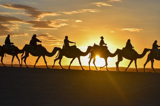Marrakech: Agafay Desert Quad Biking & Camel Trek & Dinner & Show - Key Highlights Worth Booking