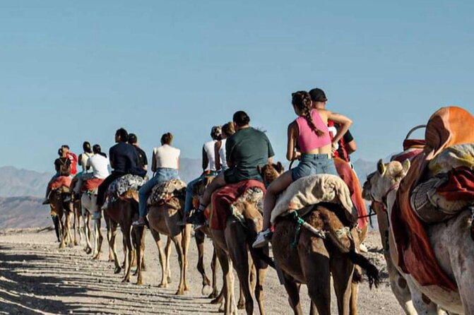 Marrakech: Agafay Desert Quad Biking & Camel Trek & Dinner & Show - Sunset Lookout, Fire Show, and Live Berber Performances