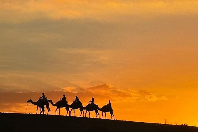 Marrakech: Agafay Desert Quad Biking & Camel Trek & Dinner & Show - Price and Value: Is $45 Actually a Deal Here