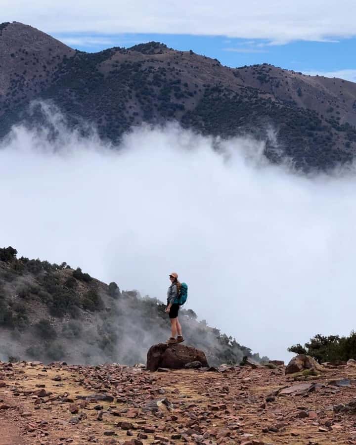 Marrakech: Atlas Mountains Summit Day Trek 2700m - Price and value: what you get for about $27