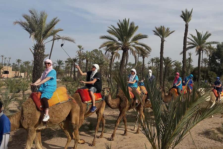 Marrakech: Camel Trek - Key Highlights You’ll Feel Right Away
