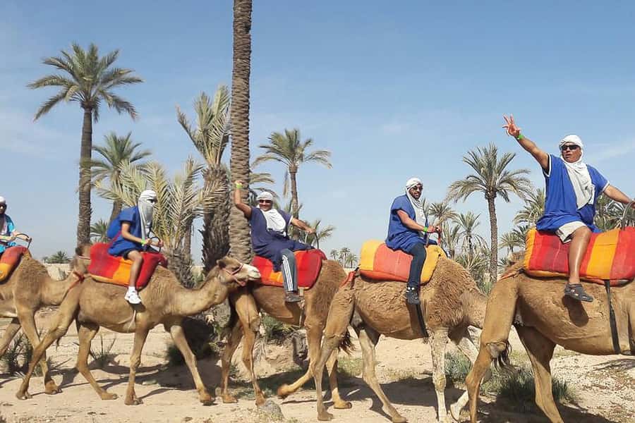 Marrakech: Camel Trek - Private Pickup in Marrakech: Medina Alley Reality Check