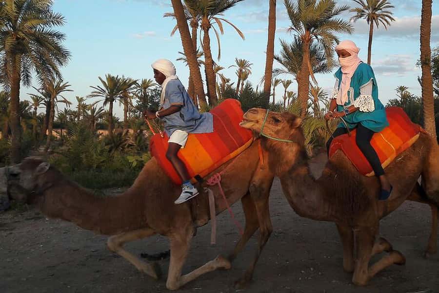 Marrakech: Camel Trek - The 90-Minute Plan vs. Real-World Timing