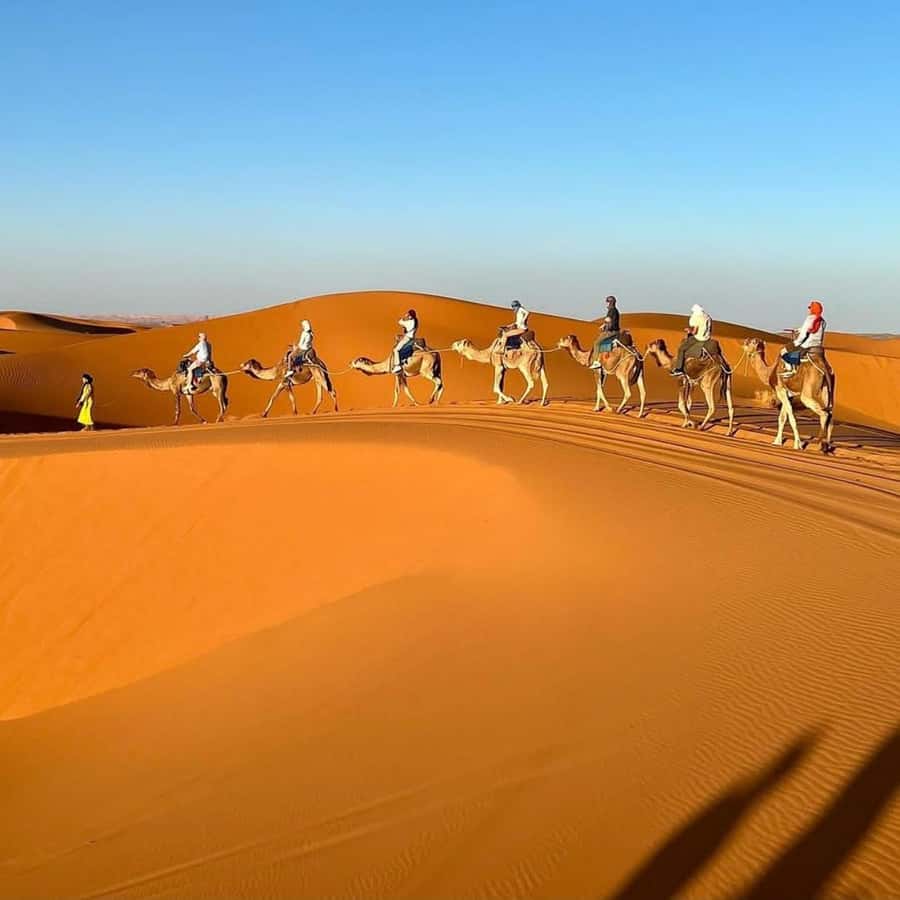 Marrakech Desert Tours 3 Days with Camel Trek and Camping - From Marrakech to Merzouga: a 3-day route that really moves