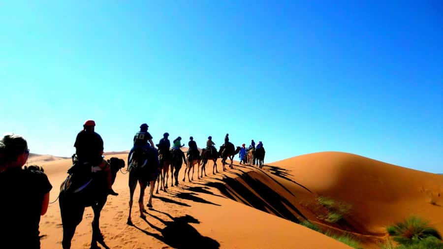 Marrakech Desert Tours 3 Days with Camel Trek and Camping - Price and logistics: $115 and what you actually get