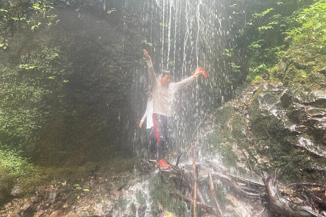 Matt Canyon River Trekking Nishiwaga Town, Iwate Prefecture - Price and Timing: $49.70 for 3 Hours of River Bottom Access