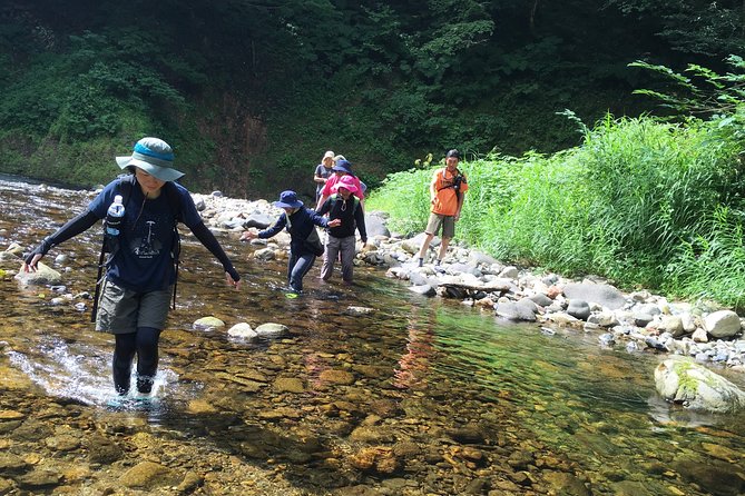 Matt Canyon River Trekking Nishiwaga Town, Iwate Prefecture - Bugs, Wildlife Nerves, and the Safety Limits You Should Respect