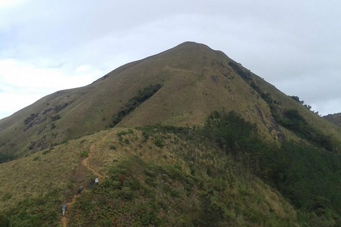 Meesapulimala Sunrise trek( By Munnar Info) - What a typical 8-hour day really feels like