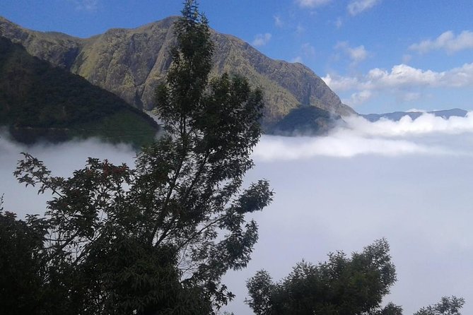 Meesapulimala Sunrise trek( By Munnar Info) - Price and value for a group of up to 2