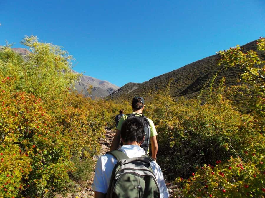 Mendoza: 4-Hour Mountain Trekking With Lunch - The day’s flow: pickup, base camp wait time, and your best pacing