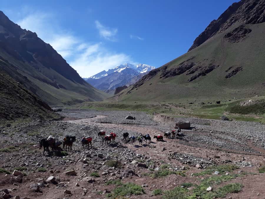 Mendoza: Mt. Aconcagua Confluencia Camp Trekking - On the trail: what you should expect at 3,000–3,400 m