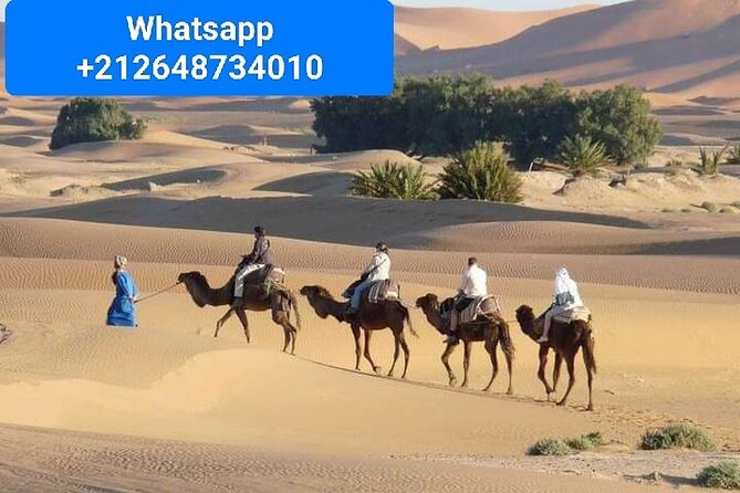 Merzouga Camel Trekking 1 Night Experience - Key things that make this Merzouga 1-night trek work