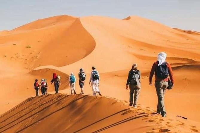 Merzouga Camel Trekking 1 Night Experience - Why this 1-night Merzouga camel trek feels different from a rushed tour