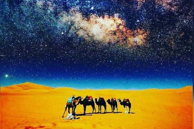 Merzouga Camel Trekking 1 Night Experience - Camp comfort: private tent beds plus a private shower and bathroom