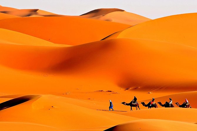 Merzouga Camel Trekking & Overnight Desert Camp - Camel trekking across Erg Chebbi: what you’ll feel and what you’ll get