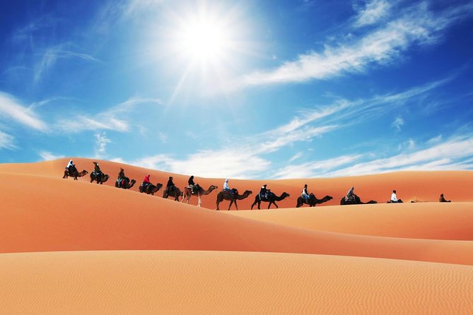Merzouga Camel Trekking & Overnight Desert Camp - Sunrise and sandboarding at Erg Chebbi: the morning payoff