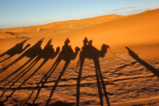 Merzouga Camel Trekking & Overnight Desert Camp - Who should book this Merzouga camel trek, and who should skip it
