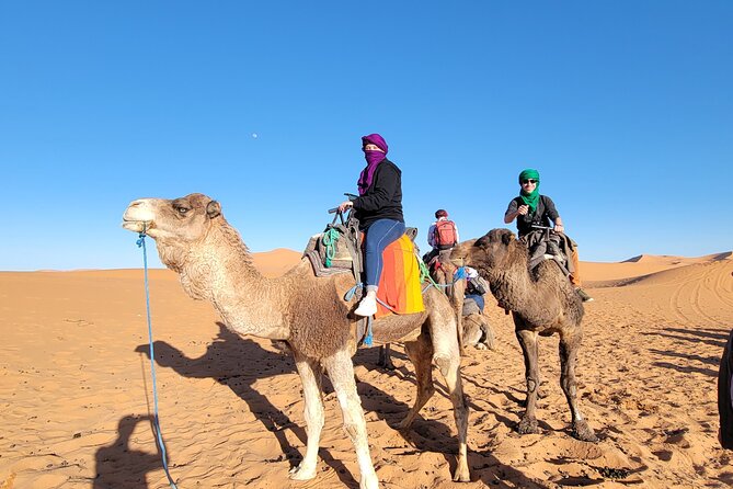 MERZOUGA DESERT TREK - 3 DAYS From Marrakech - FAQ