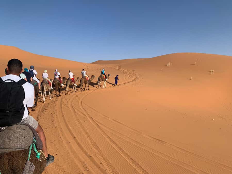 Merzouga: Overnight Camel Trek with Sandboarding - Arrival at Camp: Dinner, Berber Music, and Stars