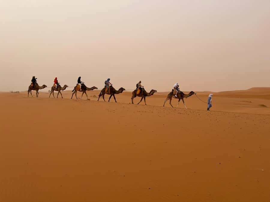 Merzouga: Overnight Camel Trek with Sandboarding - Tent Reality Check: Standard vs Royal vs Luxury