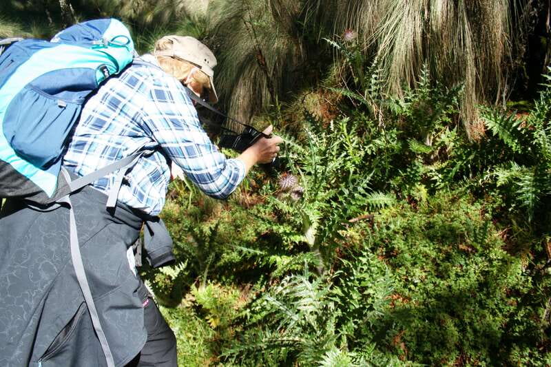 Mexico City: Guided Volcano Trek with Lunch - Paso de Cortés: the lower slopes that set the tone