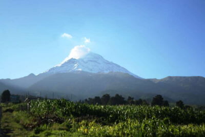 Mexico City: Guided Volcano Trek with Lunch - Cerro Altzomoni and Popocatépetl fumaroles: the main event