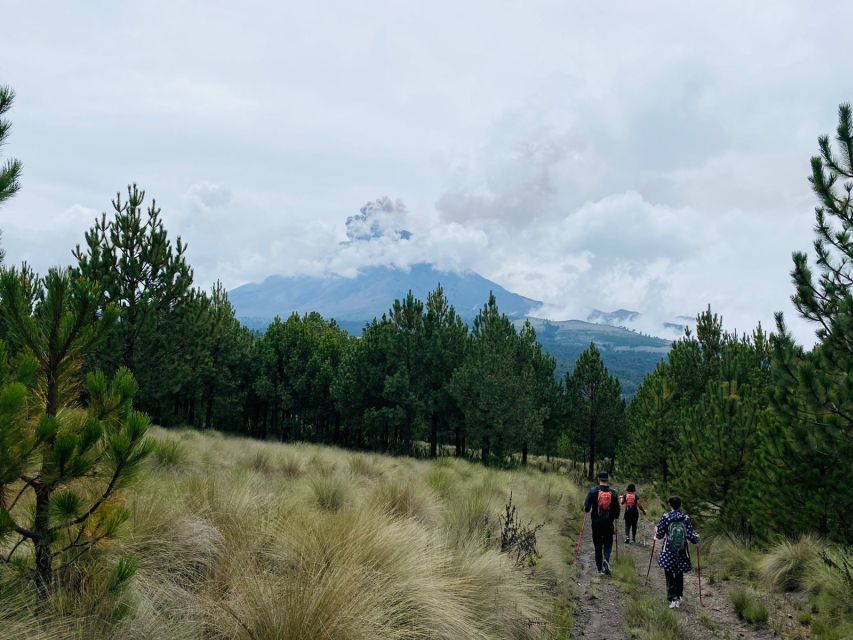 Mexico City: Guided Volcano Trek with Lunch - Fitness reality check: altitude is the real difficulty