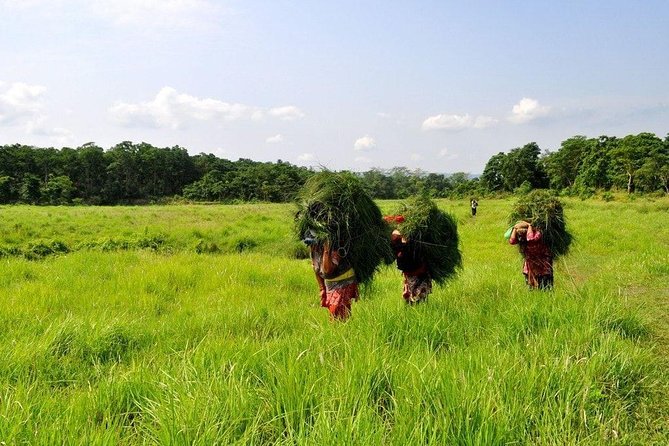 Millennium Homestay Trek - Khairenitar to Bankewa: your first homestay night