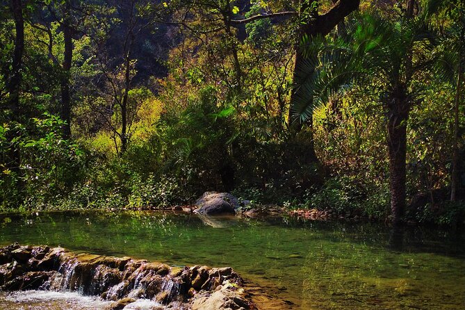 Moderate Himalayan Treks Near Rishikesh From Delhi - Key highlights worth your attention