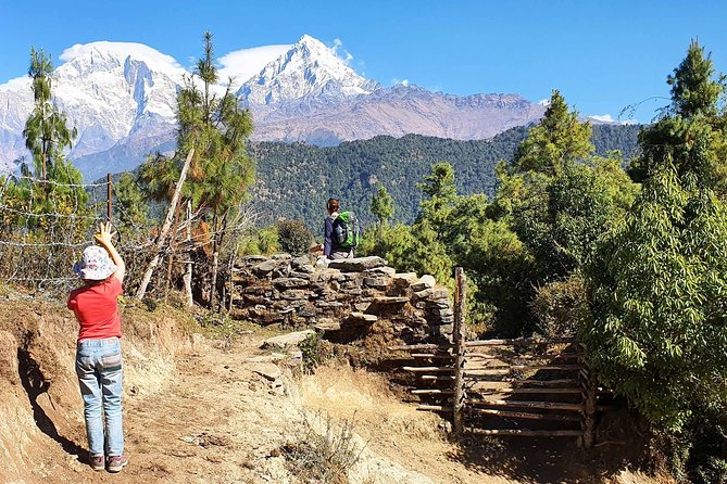 Mohare Danda Trek - Lodging, safety support, and the gear that saves your trip