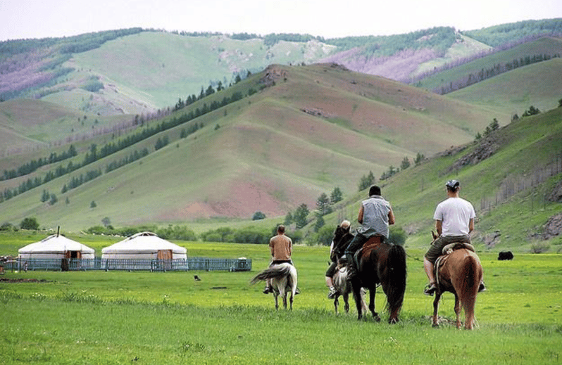 MONGOLIAN NOMADS: 2-Day Horse Trekking & Cow Milking Tour - Key things that make this 2-day nomad tour work