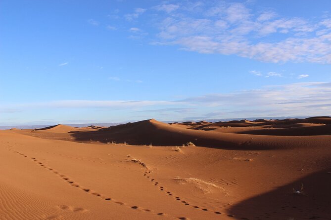 Morocco desert trek (8 days) - The Desert Guide Factor: Hassan’s Storytelling and the Team’s Work